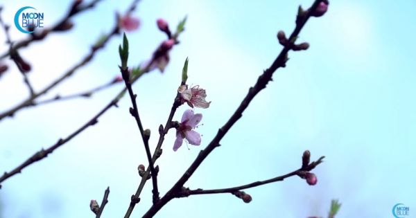 Du lịch Sapa 2017- Sapa Travel Viet Nam 2017