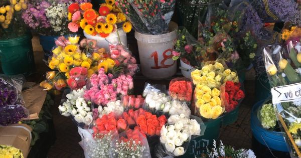 Giá hoa Đà Lạt tăng mạnh trong ngày lễ Hiến chương Nhà Giáo 20/11