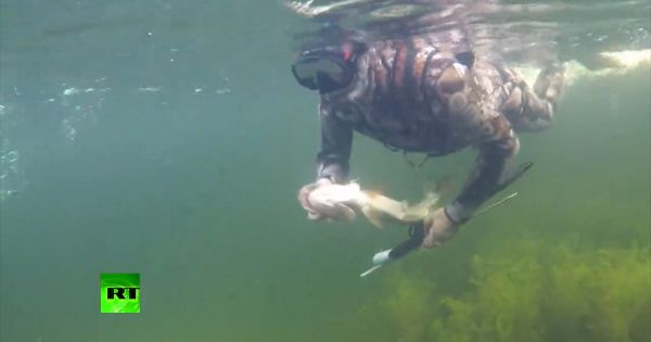 Kỳ nghỉ thú vị - du lịch mạo hiểm của Tổng thống Putin