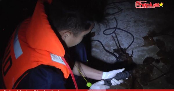 Đà Lạt: Một người phụ nữ tự tử ở hồ Xuân Hương