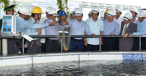 Giám sát chặt chẽ việc phát thải của Công ty Formosa Hà Tĩnh