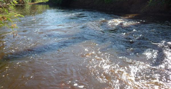 Lạng Sơn: Lộ thủ phạm ra tay làm nước suối trắng đục bất thường,và làm cá chết hàng loạt