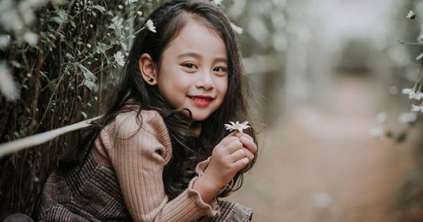 Bé gái được ví như tiểu Chi Pu đang tạo dáng bên cánh đồng hoa cúc họa mi khiến dân mạng đốn tim