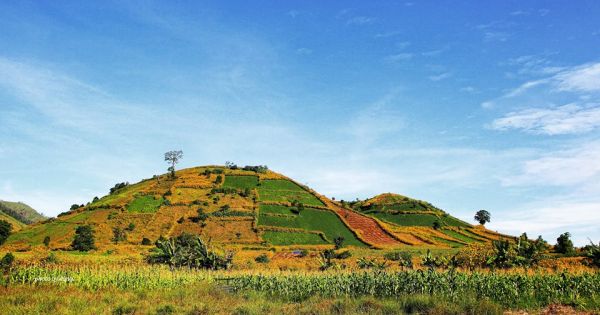 Chinh phục núi lửa Chư Đăng Ya và ngắm dã quỳ trải vàng rực rỡ