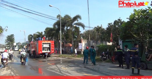 Bình Dương: Hỏa hoạn thiêu rụi công ty sản xuất bao bì, gỗ palet