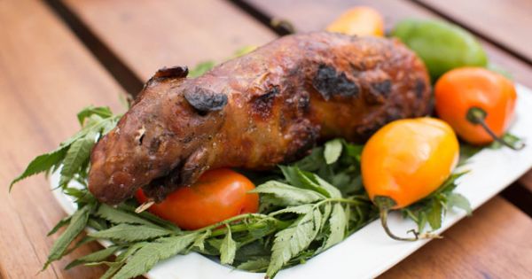 Chuột lang nướng, món đặc sản gây tranh cãi nảy lửa