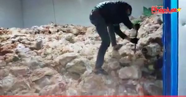 Đà Nẵng: Bắt 15 tấn thực phẩm hôi thối