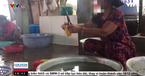 Cận cảnh quy trình ngâm cá bằng... thuốc tẩy giun động vật