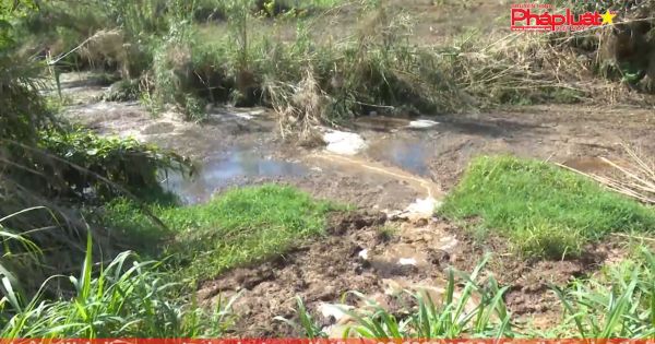 Mộc Châu đình chỉ hoạt động cơ sở sản xuất dong riềng gây ô nhiễm môi trường