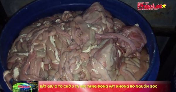 Bắt giữ xe ô tô chở 5 tạ nội tạng động vật không rõ nguồn gốc