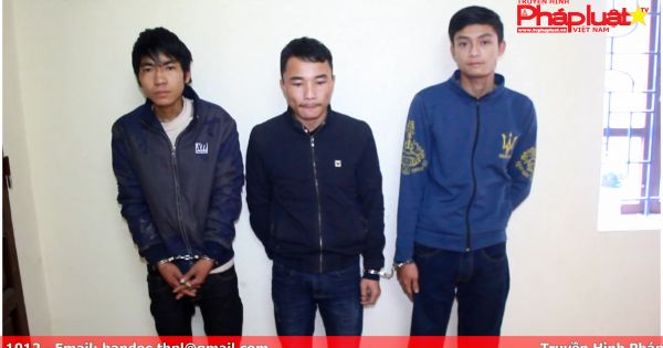 Nghệ An: Bắt nhóm đối tượng gây ra 14 vụ trộm gỗ tại các xưởng cưa