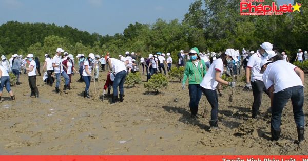 TPHCM: Chung tay góp phần bảo vệ lá phổi xanh của thành phố