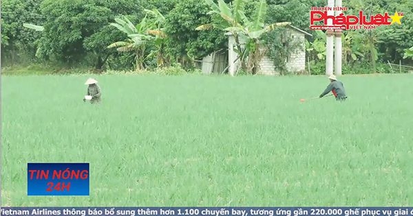 Tin nóng 24h 16/12/2017