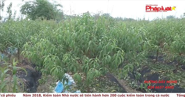 Thị trường hôm nay 18/12/2017