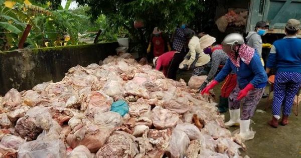 Xử phạt chủ kho chứa 15 tấn thịt hôi thối 4,5 triệu đồng