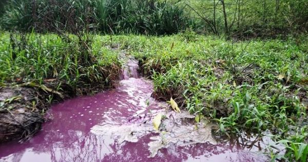 “Xanh mặt” với nước khe chuyển màu tím đỏ, nồng nặc mùi hôi bất thường