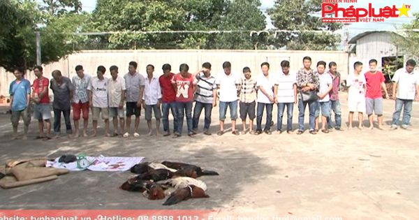 Kiên Giang: Bắt quả tang 21 đối tượng đánh bạc ăn tiền