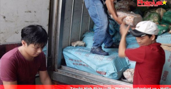 Lòng heo được tẩy trắng bằng hóa chất bán cho người tiêu dùng