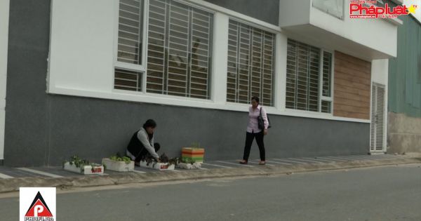 Đưa pháp luật bằng phim ảnh vào cuộc sống - Tập 17: Trồng rau ngoài đường