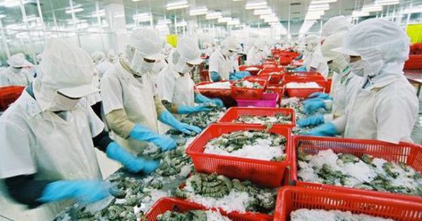 Thuỷ sản Hùng Vương bỗng dưng lỗ nặng gấp 10 lần sau kiểm toán