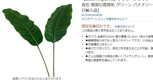 Lá chuối Việt Nam được rao bán tại Nhật giá 500.000 đồng/chiếc