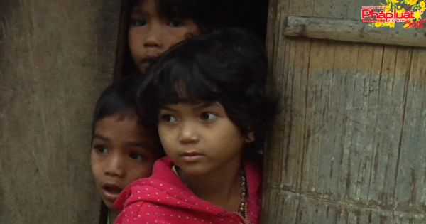 Quảng Ngãi: Đề nghị Chính phủ hỗ trợ gạo cứu đói cho dân dịp tết