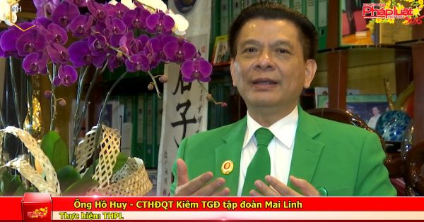 Chủ tịch HĐQT Mai Linh: 