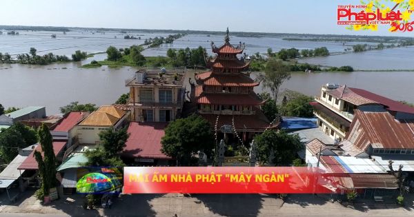 Mái ấm nhà Phật “mây ngàn”