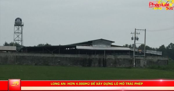 Long An: Lò giết mổ xây dựng trái phép hơn 4 năm mới được Sở Xây dựng thanh kiểm tra.