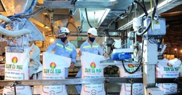 Năm 2018 tiếp tục thoái vốn nhà nước tại Đạm Cà Mau