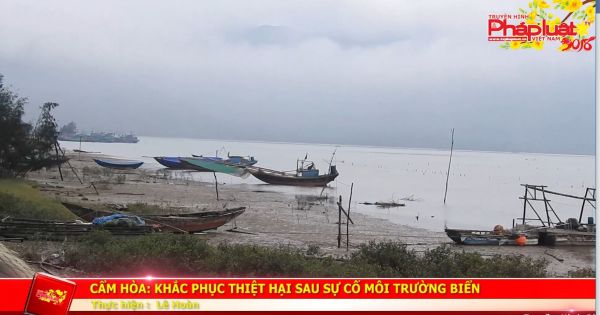 Hà Tĩnh: Khắc phục thiệt hại sau sự cố môi trường biển