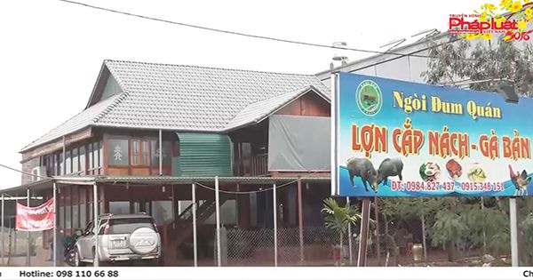 Ẩm thực cuối tuần 03/02/2018