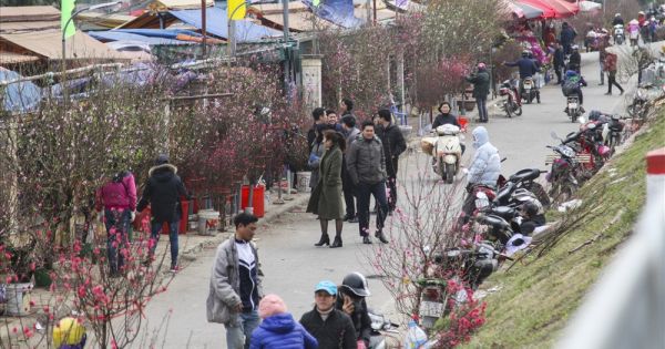 Sắm đồ dịp giáp tết: Đông từ siêu thị ra đến chợ hoa