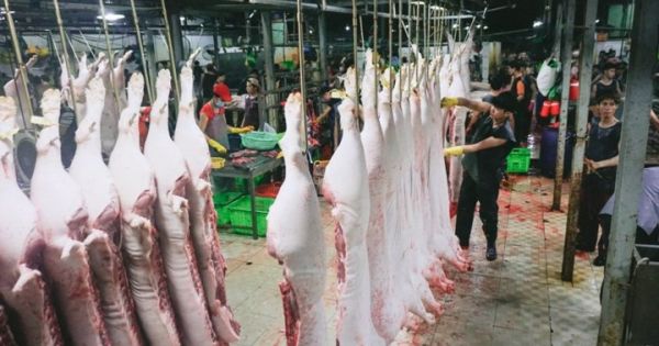 TP.HCM: Tăng cường kiểm tra theo chuỗi đảm bảo Vệ sinh an toàn thực phẩm dịp Tết