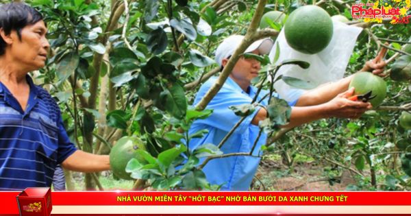 Nhà vườn miền Tây 