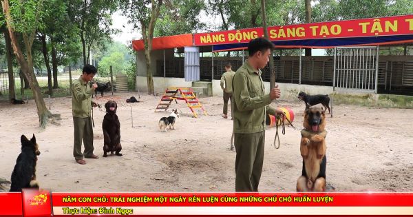 Năm Mậu Tuất: Trải nghiệm một ngày rèn luyện cùng những chú chó huấn luyện