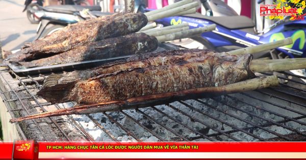 TP HCM: hàng chục tấn cá lóc được người dân mua về vía thần tài