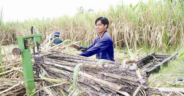 Mía đường Việt Nam lại kêu cứu