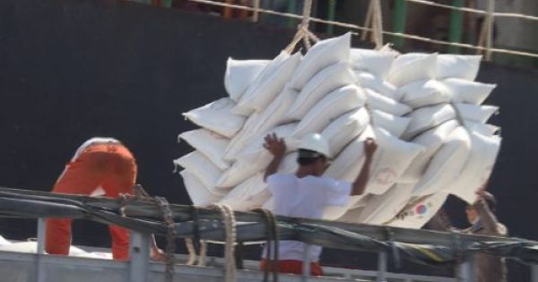 Hàn Quốc viện trợ 10.000 tấn gạo các tỉnh miền Trung Việt Nam