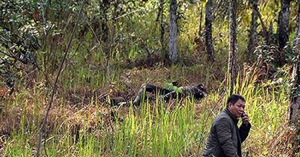 Phát hiện thi thể cô gái chết cháy gần thác Datanla Đà Lạt