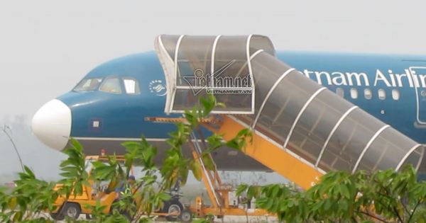 Tước chứng chỉ 4 nhân viên hàng không để nam thanh niên đột nhập lên máy bay