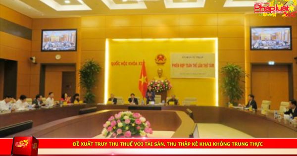 Chính phủ đề xuất truy thu thuế với tài sản, thu thập kê khai không trung thực