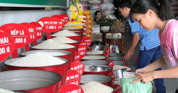 Điểm báo 07/03/2018: Người Việt đang phải mua gạo đắt hơn giá trị thực; TP.HCM chấp thuận đề án tăng mức thu phí đỗ xe ô tô dưới lòng đường