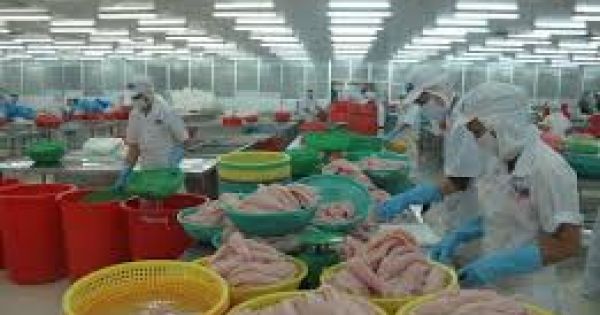 Giảm 90% thủ tục hành chính cho Doanh nghiệp thực phẩm