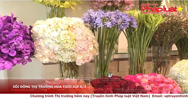 Thị trường hôm nay 07/03/2018