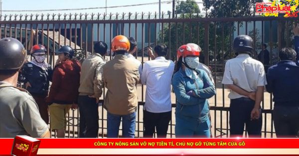 Công ty nông sản vỡ nợ tiền tỉ, chủ nợ gỡ từng tấm cửa gỗ