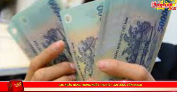 Các ngân hàng trong nước thu hút làn sóng vốn ngoại