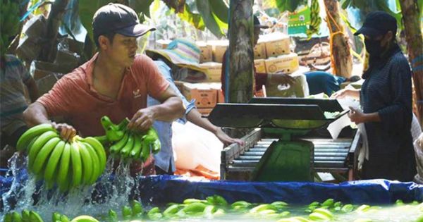 Điểm báo 16/03/2018: Thương lái Trung Quốc lùng mua đặc sản Việt - Cảnh báo 'bỏ bom'; Trên 700.000 hồ sơ giải quyết trễ hạn