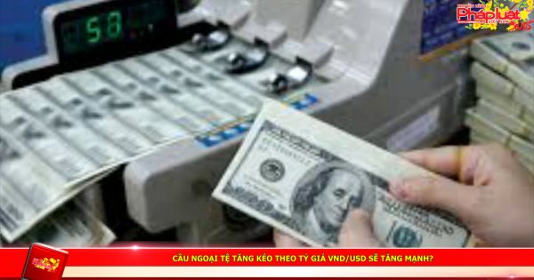 Cầu ngoại tệ tăng kéo theo tỷ giá VND/USD sẽ tăng mạnh?