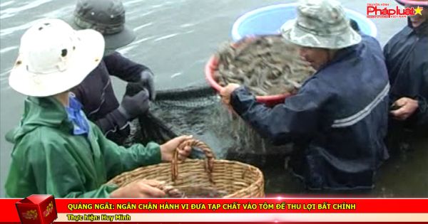 Quảng Ngãi: Ngăn chặn hành vi đưa tạp chất vào tôm để thu lợi bất chính